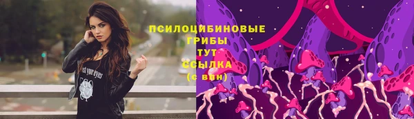 apvp Остров