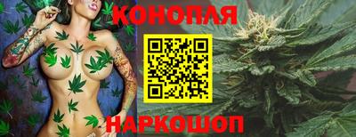 ешки Славгород