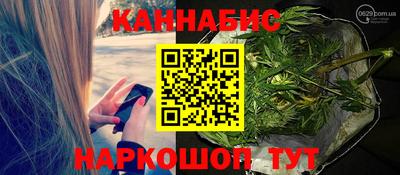 винт Сланцы