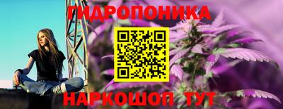 винт Сланцы