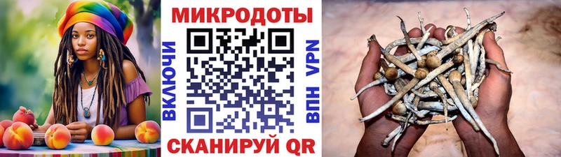 Псилоцибиновые грибы ЛСД  закладки  Переславль-Залесский 