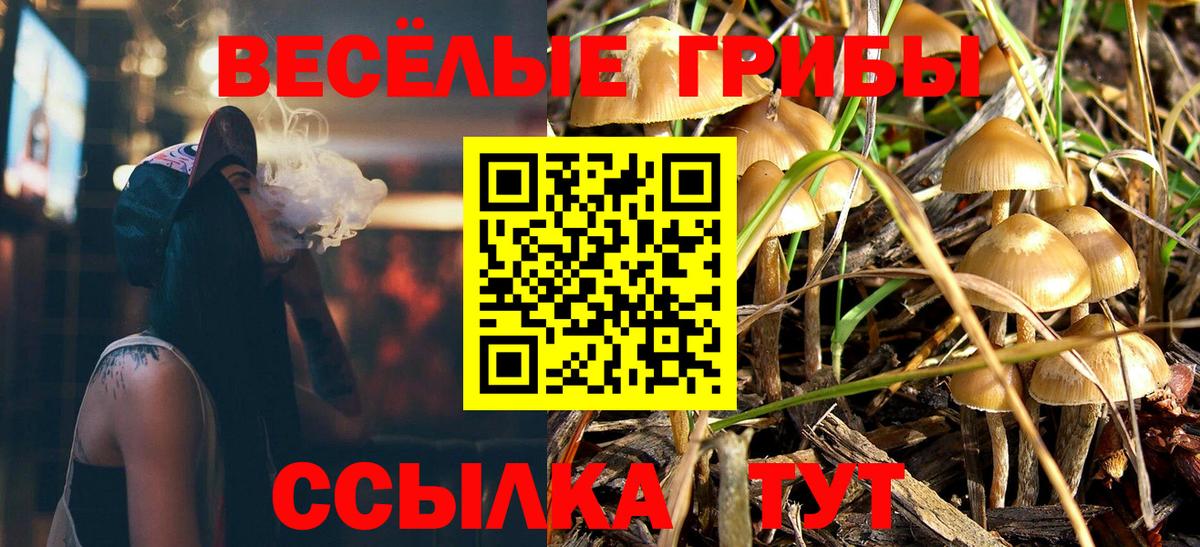 Галлюциногенные грибы Psilocybe Переславль-Залесский