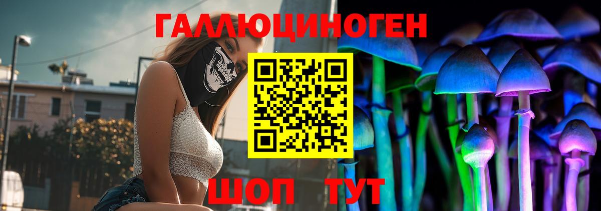 Переславль-Залесский  Псилоцибиновые грибы MAGIC MUSHROOMS  Вход с VPN 